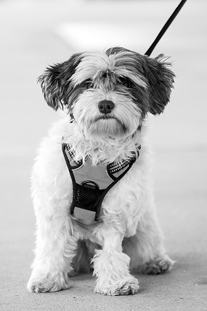 MG21-5144bw