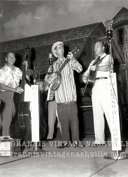 071_Stringbean