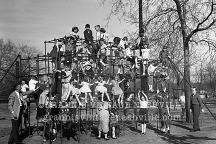 JungleGym1