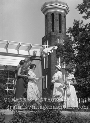 belmont 1951008